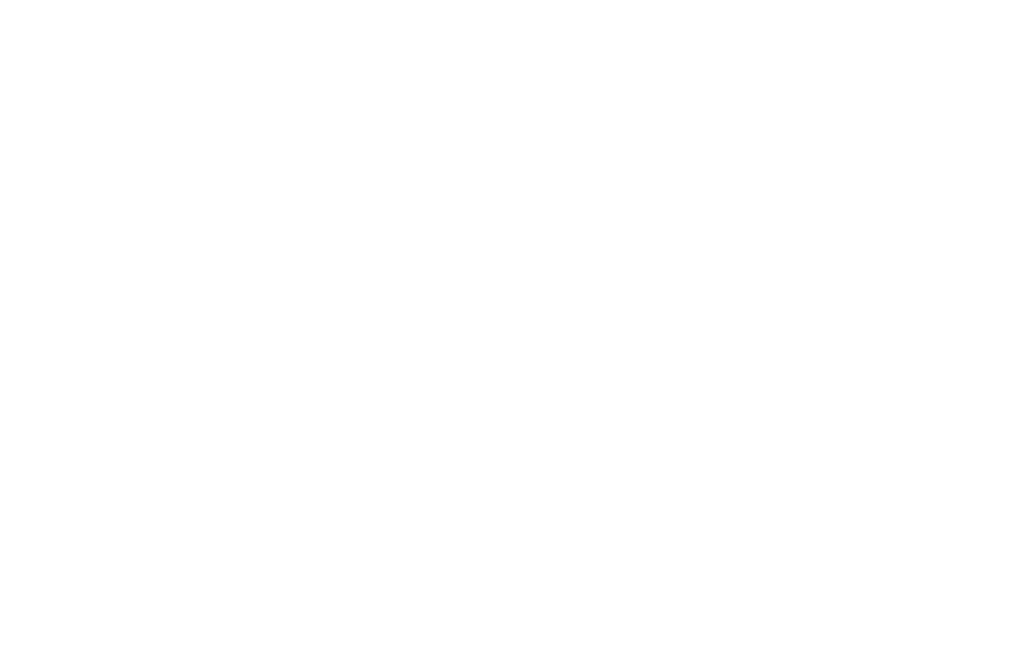 La Tienda del Espia